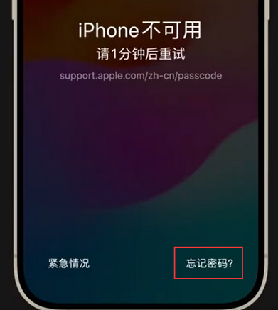 黄竹镇苹果手机密码维修分享iPhone忘记了刚设置的密码 
